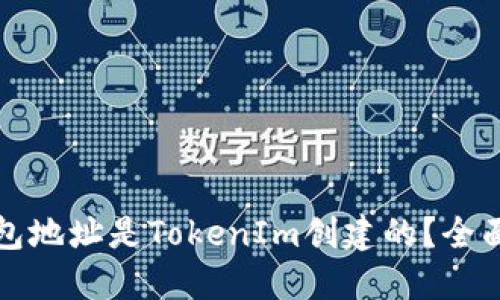 如何判断钱包地址是TokenIm创建的?全面指南与技巧