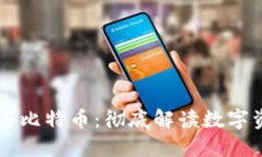 虚拟账户与比特币：彻底解读数字资产的未来