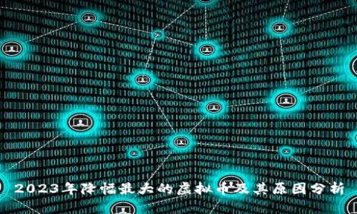 2023年降幅最大的虚拟币及其原因分析
