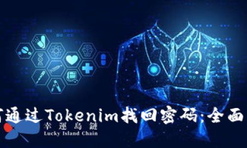 如何通过Tokenim找回密码:全面指南