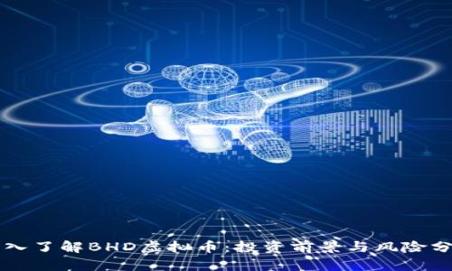 深入了解BHD虚拟币:投资前景与风险分析