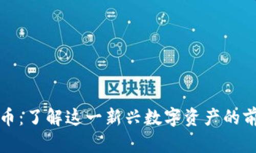 土豆虚拟币:了解这一新兴数字资产的前景与挑战