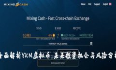全面解析YKM虚拟币：未来投资机会与风险分析