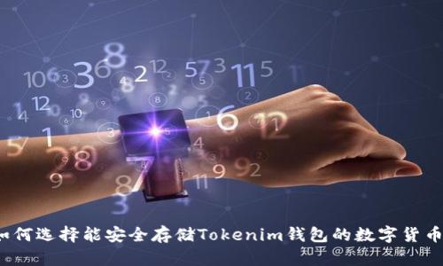 如何选择能安全存储Tokenim钱包的数字货币?