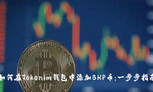 如何在Tokenim钱包中添加BHP币:一步步指南