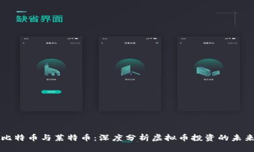 比特币与莱特币：深度分析虚拟币投资的未来