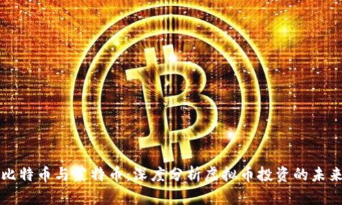比特币与莱特币：深度分析虚拟币投资的未来