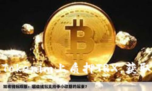 : 如何在Tokenim上质押TRX，获取丰厚收益