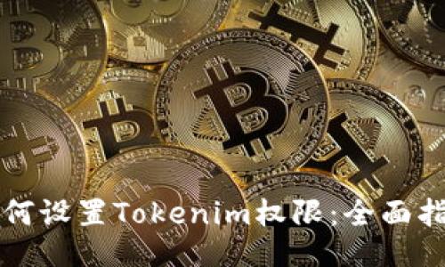 如何设置Tokenim权限：全面指南