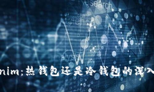 Tokenim：热钱包还是冷钱包的深入解析