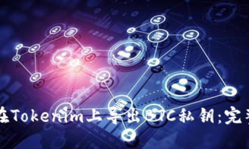 如何在Tokenim上导出BTC私钥:完整指南