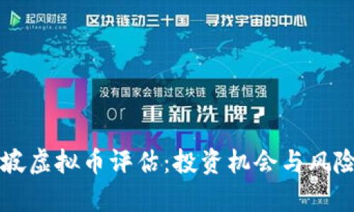新加坡虚拟币评估：投资机会与风险分析