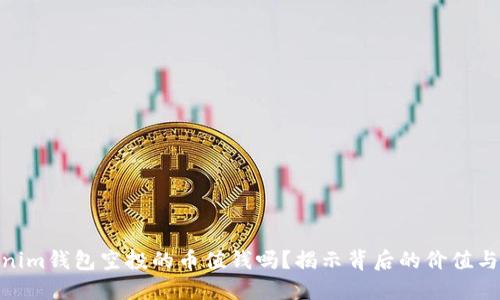 Tokenim钱包空投的币值钱吗？揭示背后的价值与风险