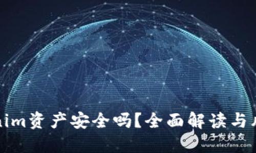 放Tokenim资产安全吗？全面解读与风险防范
