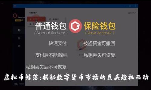 虚拟币鲸落：揭秘数字货币市场的巨头趁机而动