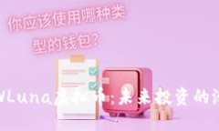深入了解WLuna虚拟币：未来投资的潜力与风险