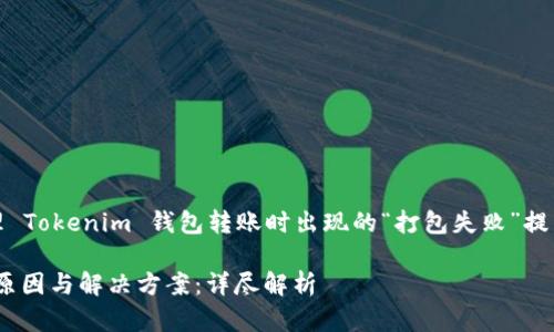 注意：以下信息是关于处理 Tokenim 钱包转账时出现的“打包失败”提示的详细分析和解决方案。

Tokenim钱包转账失败的原因与解决方案：详尽解析