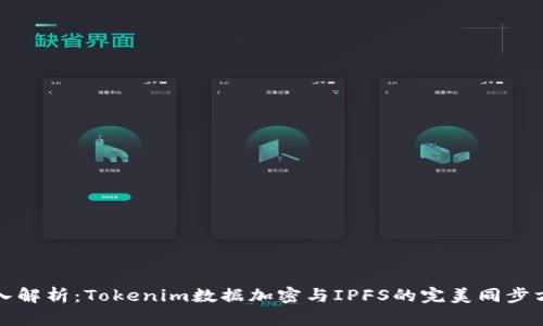 深入解析：Tokenim数据加密与IPFS的完美同步方案