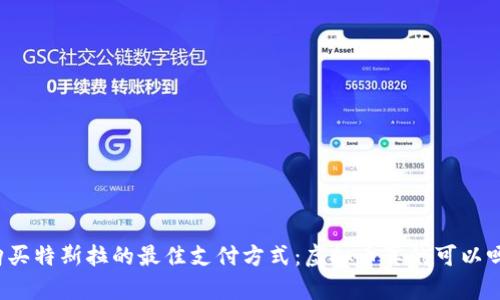 购买特斯拉的最佳支付方式：虚拟币真的可以吗？