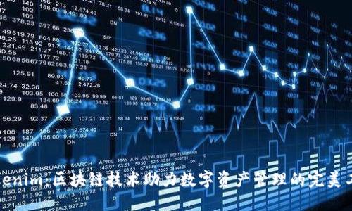 Tokenim：区块链技术助力数字资产管理的完美工具