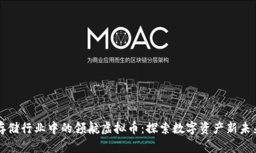 存储行业中的领航虚拟币：探索数字资产新未来