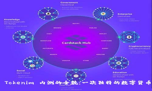 探索 Tokenim 内测的全貌：一次独特的数字货币体验