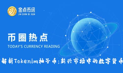 深度解析Tokenim柚子币：新兴市场中的数字货币之星