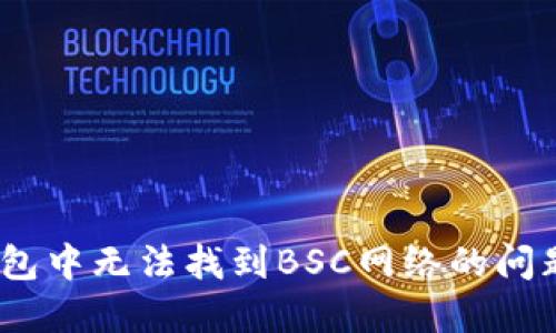 如何解决Tokenim钱包中无法找到BSC网络的问题，轻松导航加密世界