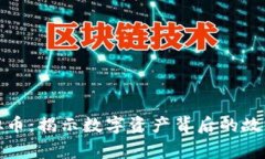 追溯虚拟币：揭示数字资产背后的故事与秘密