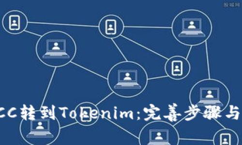 轻松将BCC转到Tokenim：完善步骤与技巧指南