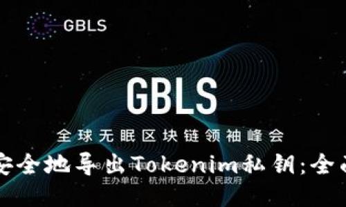 如何安全地导出Tokenim私钥：全面指南