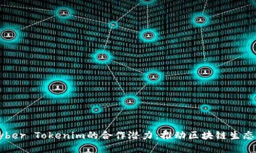 探索Kyber Tokenim的合作潜力：推动区块链生态的未来
