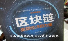 全面解析虚拟货币的前景与挑战