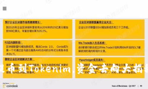 提币到Tokenim，资金去向大揭秘