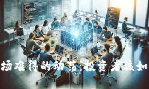 : 虚拟币市场难得的动荡：投资者该如何把握机会