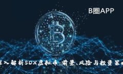 深入解析SDX虚拟币：前景、风险与投资策略