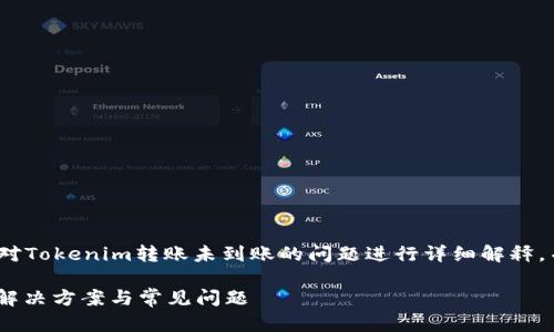 提示: 下面的内容将针对Tokenim转账未到账的问题进行详细解释，并附加相关的和关键词。

Tokenim转账未到账的解决方案与常见问题