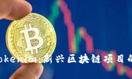 ### TP Tokenim：新兴区块链项目的前景与挑战