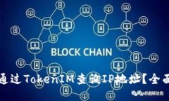 如何通过TokenIM查询IP地址？全面指南