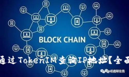 如何通过TokenIM查询IP地址？全面指南