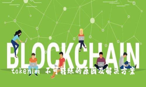 tokenim 不可转账的原因及解决方案
