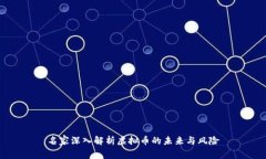 名家深入解析虚拟币的未来与风险
