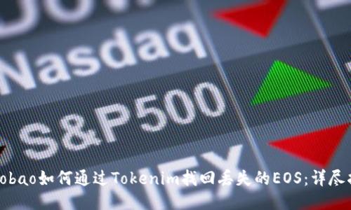 xiaobao如何通过Tokenim找回丢失的EOS：详尽指南