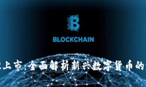 虚拟币312上市：全面解析新兴数字货币的潜力与挑战