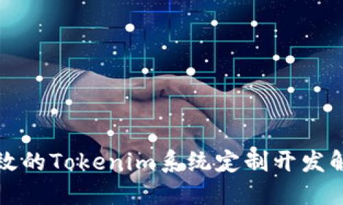 创新高效的Tokenim系统定制开发解决方案