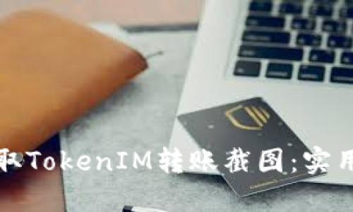 如何轻松获取TokenIM转账截图：实用指南与技巧