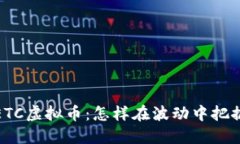 深度探索ETC虚拟币：怎样在波动中把握投资机会