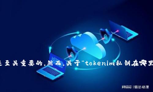 在区块链和加密货币的世界中，私钥是安全和访问您的资产的重要组成部分。对于涉及数字资产的用户来说，了解如何查找和安全存储私钥是至关重要的。然而，关于“tokenim私钥在哪里查”的问题，许多人可能会有疑问。我们将深入探讨私钥的定义、查找途径、相关的安全注意事项，以及在使用tokenim时应关注的其他关键点。

如何安全查找和管理Tokenim私钥：全面指南