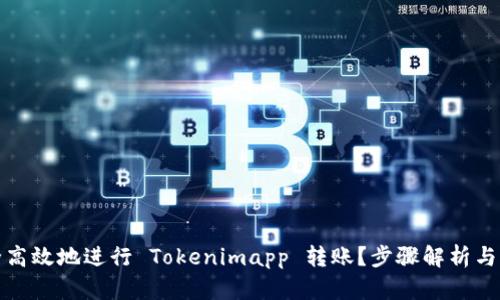 怎样安全高效地进行 Tokenimapp 转账？步骤解析与实用建议
