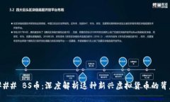 ### BS币：深度解析这种新兴虚拟货币的背后